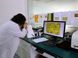 win·必赢登录入口